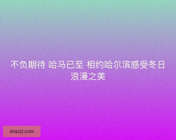 不负期待 哈马已至 相约哈尔滨感受冬日浪漫之美